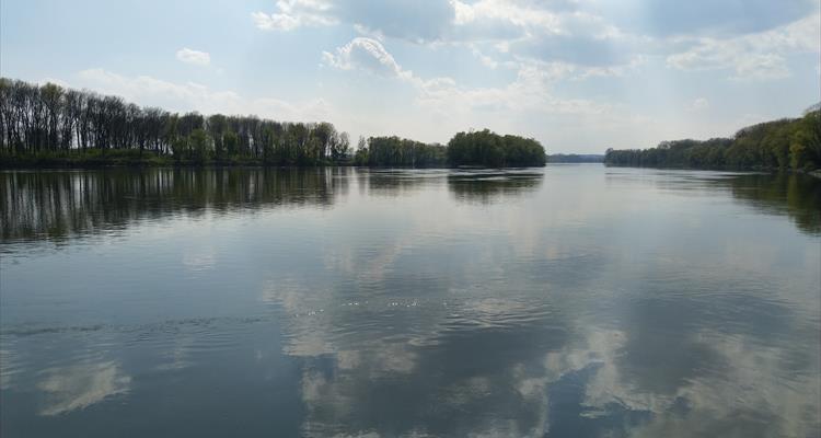 Angeln an der Donau - Fluch oder Segen?
